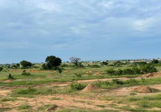 The Ultimate Guide On How To Buy Land In Ghana